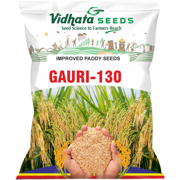 Gauri-130 Improved Paddy Seed (3 Kg)