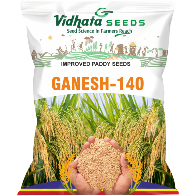 GANESH-140 Improved Paddy Seed (3 Kg)