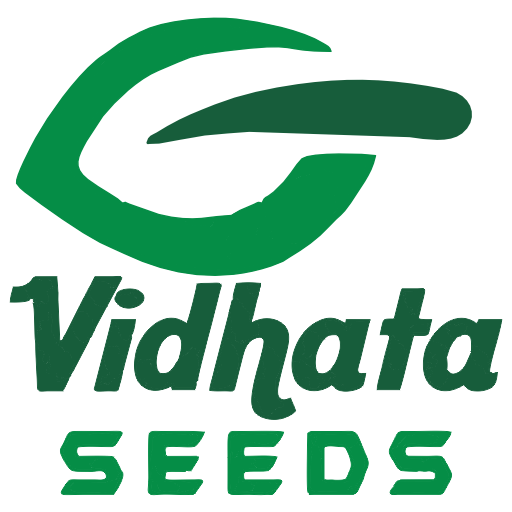 Vidhata Agro Seeds