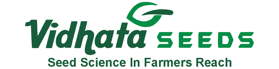 VIDHATA AGRO SEED'S PVT. LTD.